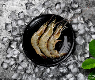 冰鲜大虾食材展示