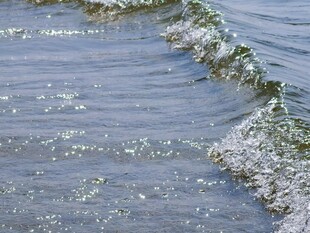 水面粼粼波光