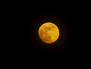 夜空中的金黄满月