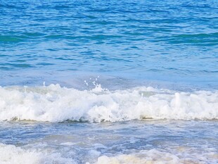 海滨海浪清新风光