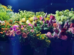 深蓝背景缤纷花艺