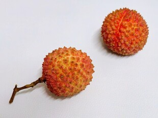 荔枝
