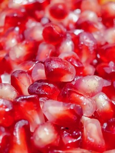 石榴籽