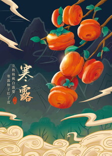寒露柿子国风节气插画