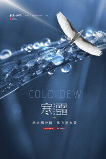 寒露节气创意海报