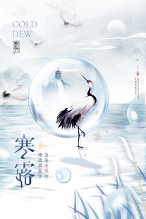 寒露国风仙鹤意境海报