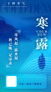 寒露节气创意海报