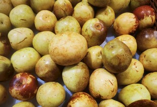 大枣