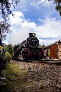 蒸汽火车停靠乡村小站