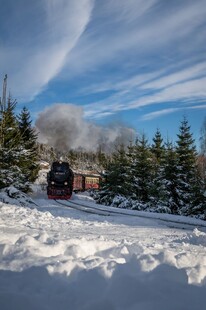 雪林里的蒸汽火车