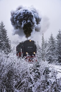 冬日雪林蒸汽火车