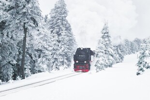 雪林间行驶的火车