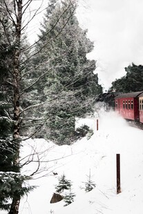冬日雪后林间雪景