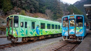 山间彩绘观光列车