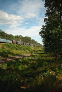 郊野林间列车风景