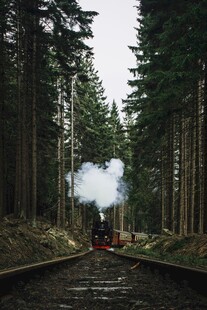 林间穿行的蒸汽火车