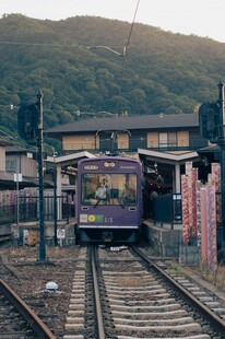 郊野小站的有轨电车