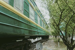 高架下的林荫步道