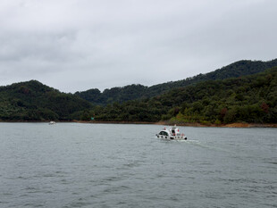 湖面泛舟山野风光