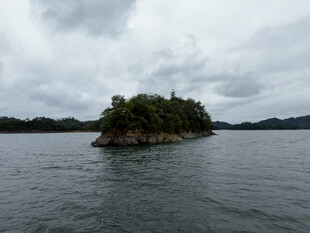 湖中小岛阴天风光