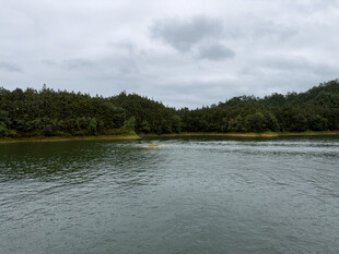 阴天湖岸山林风光