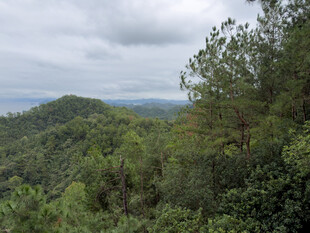 阴天山林远景风光