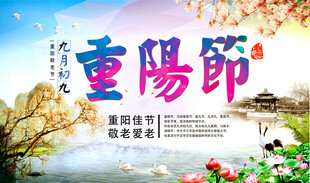 重阳节敬老爱老主题海报
