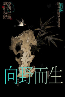 秋季户外旅行旅游活动海报