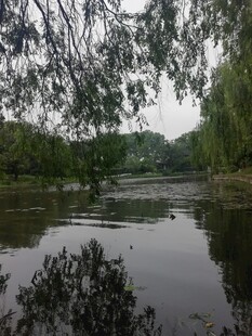 郊野河畔自然水景