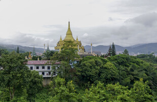山林间金色佛塔