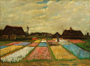 乡村花田风景油画