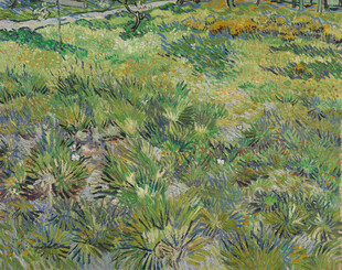 春日郊野草地油画