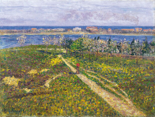 滨海郊野风景油画