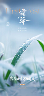 霜降节气清新意境海报