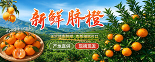 新鲜脐橙