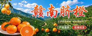 赣南脐橙