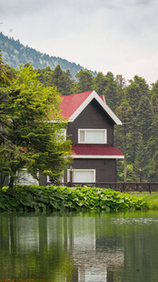 湖畔林间红顶小屋