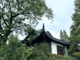 林间中式古建