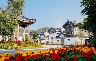 中式古建园林风光