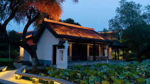 荷塘旁中式古建黄昏景