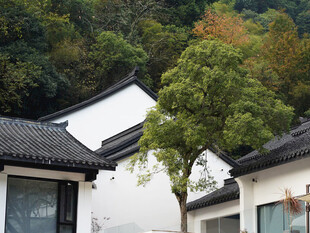 江南传统民居风光