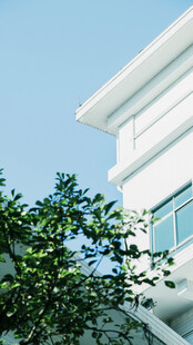 晴空下白色建筑与绿植