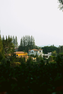 郊野林间屋舍风景