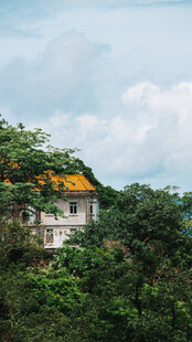 山林间黄顶小屋风光