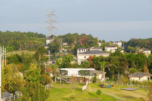 郊野乡村民居风光