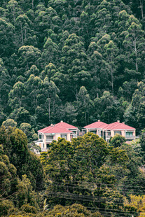 山林深处红顶屋