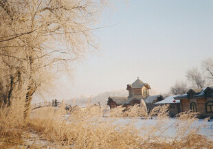 冬日乡村郊野雪景