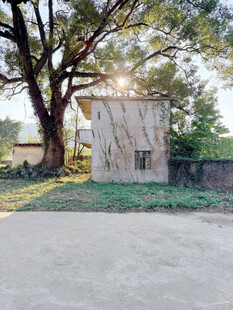 大树旁的乡村小屋