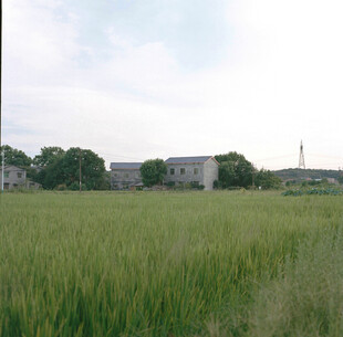 郊野乡村田园风光