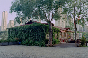 城市街边绿荫小屋